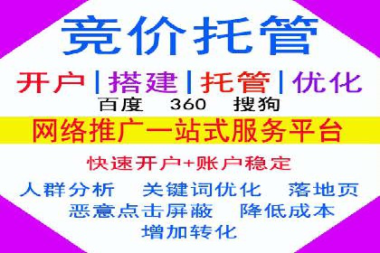 百度SEO推广实战：行业领先企业的成功之道